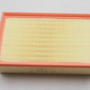 Air Filter - 5Q0 129 620 D